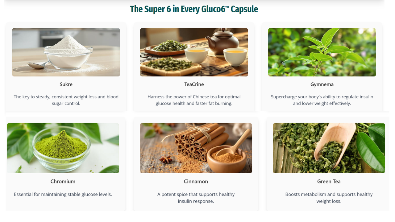Gluco6 Supplement Facts Label